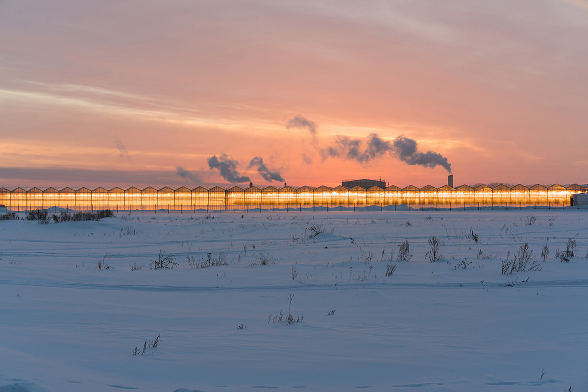 Outdoor Photo of Professional Greenhouses with dramatic lighting and sunset showing snow on the ground