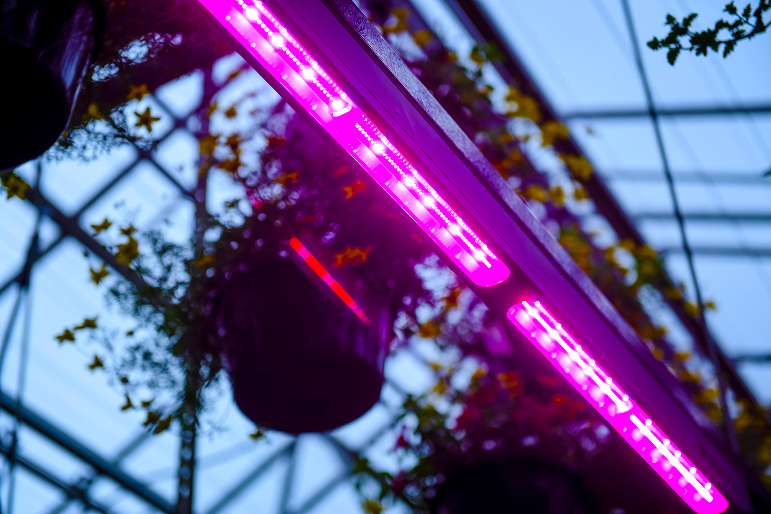 Total Energy Group Products, Systems & Services for Professional Greenhouses