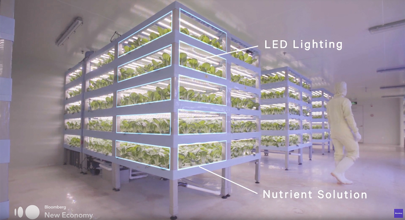 How to Feed 10 Billion People? Total Energy Group