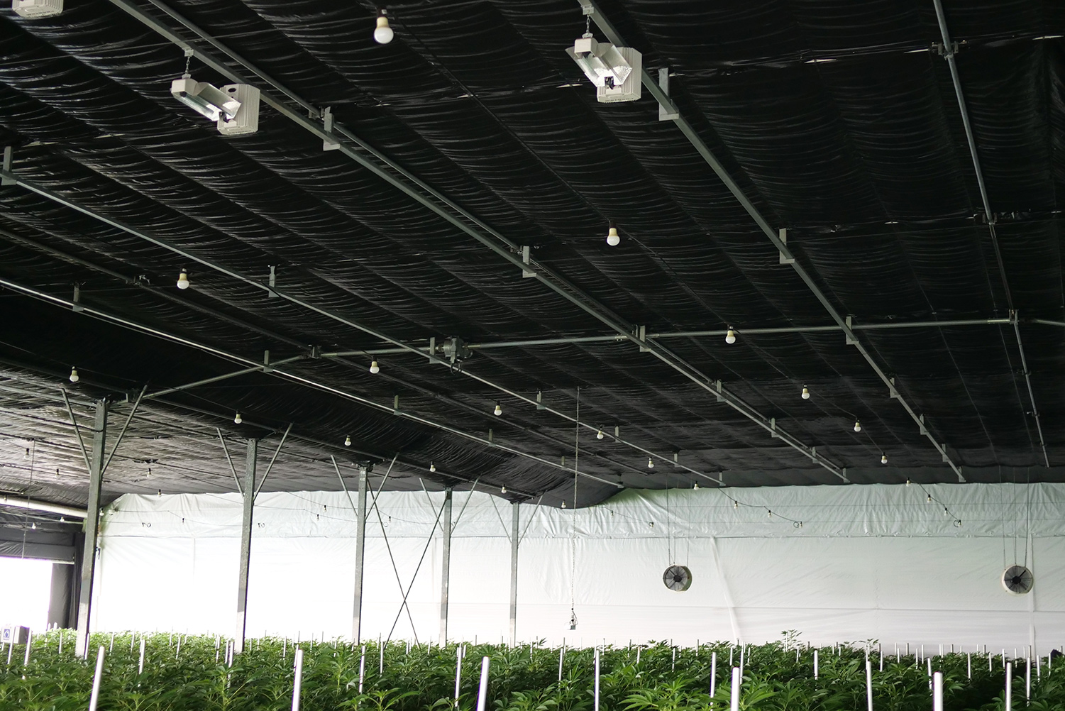 Blackout System installed in a grow warehouse