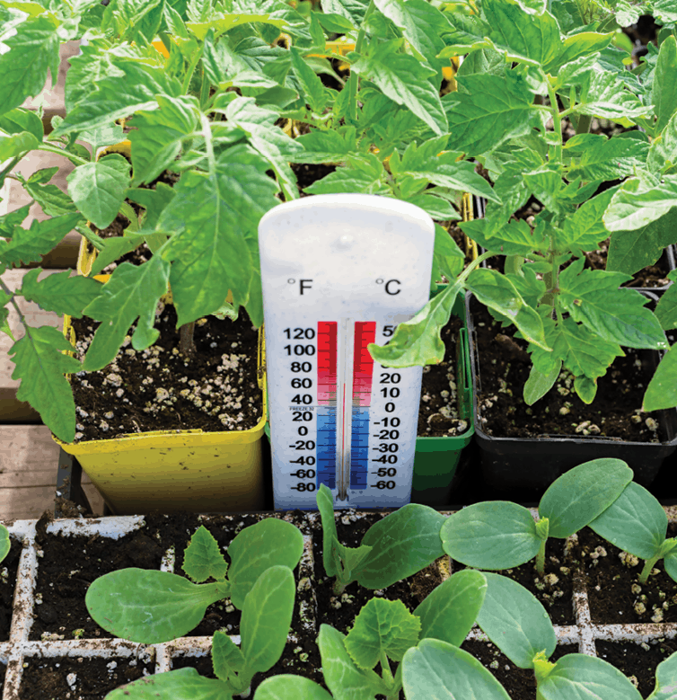 5 tips for temperature control in your growing environment Total