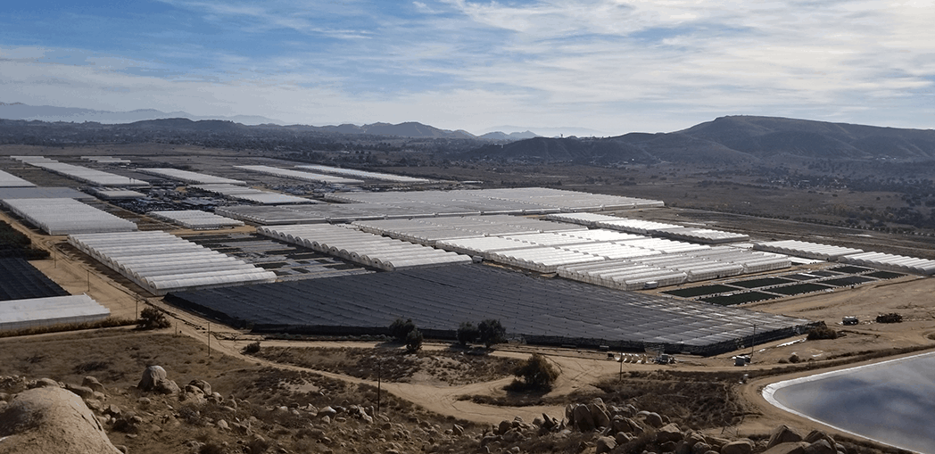 Customer Altman Plants Total Energy Group