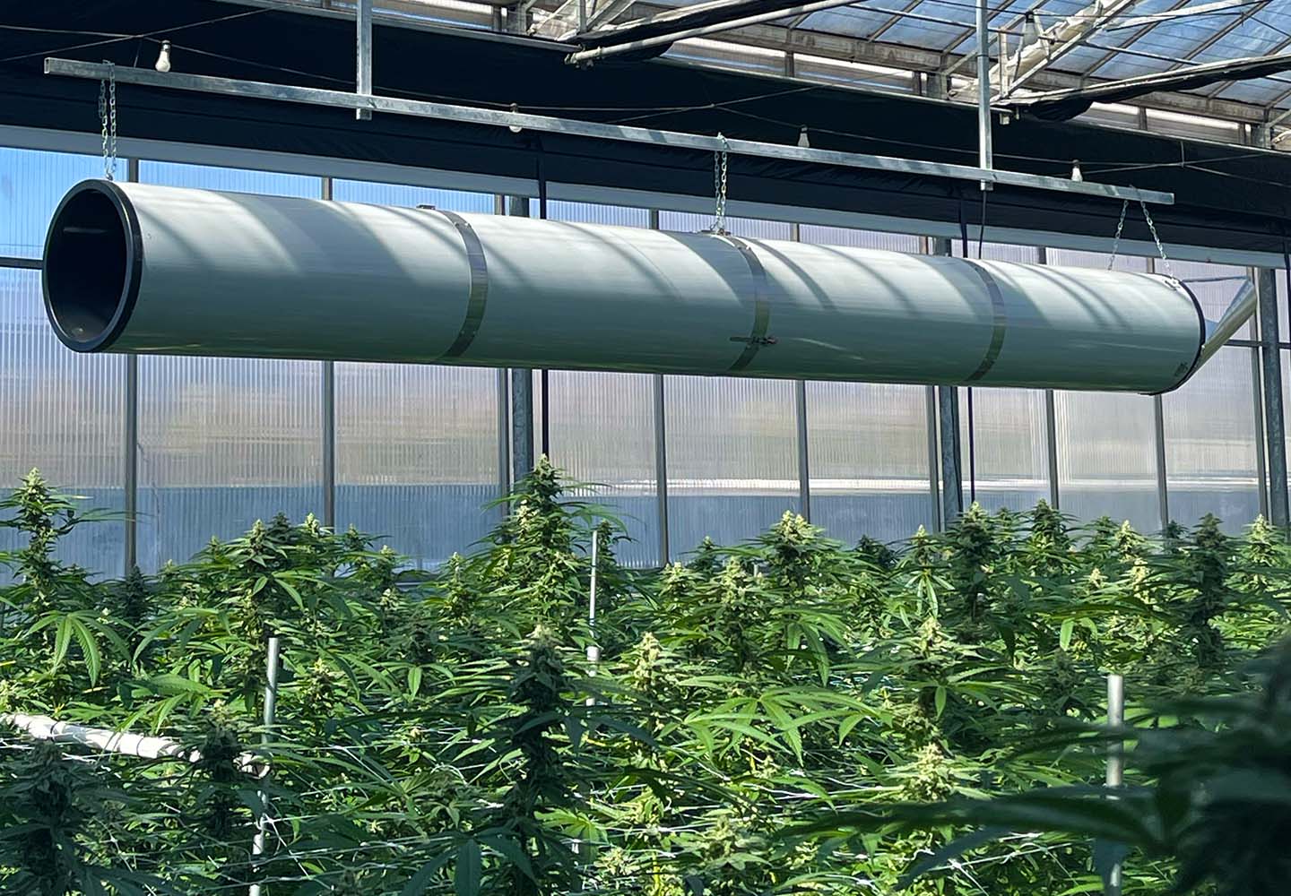 AirculessACT Airculess ACT in an indoor grow nursery