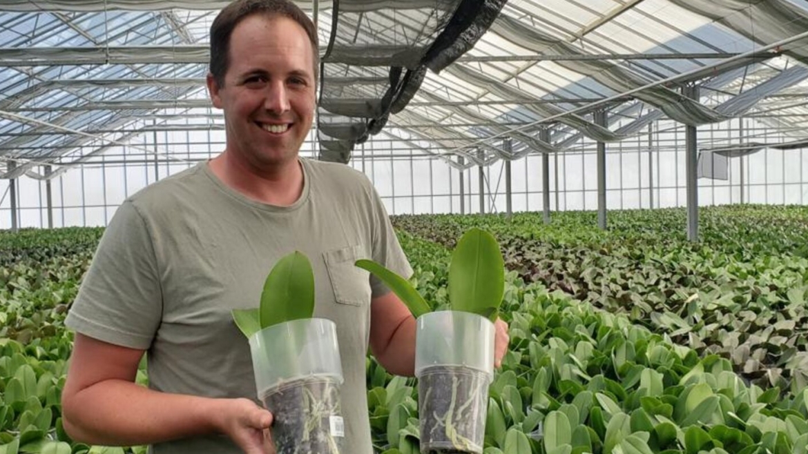 Orchids on Central Coast Flourish Year-Round Under Protective Coating